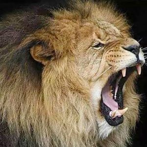 Slightly worn kids clothes.